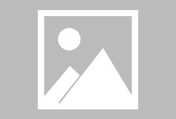 关于冲刺阶段NBA总决赛传出新动向；纽约尼克斯复出首秀；管理层表态：目标明确；控场能力受关注的信息